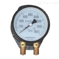 雙針壓力表
